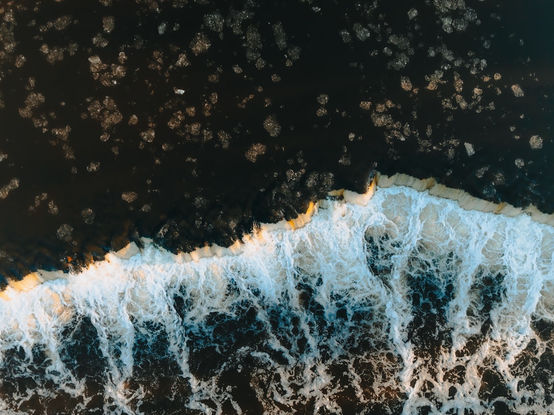 Canonicalization: Duplicate Content Management