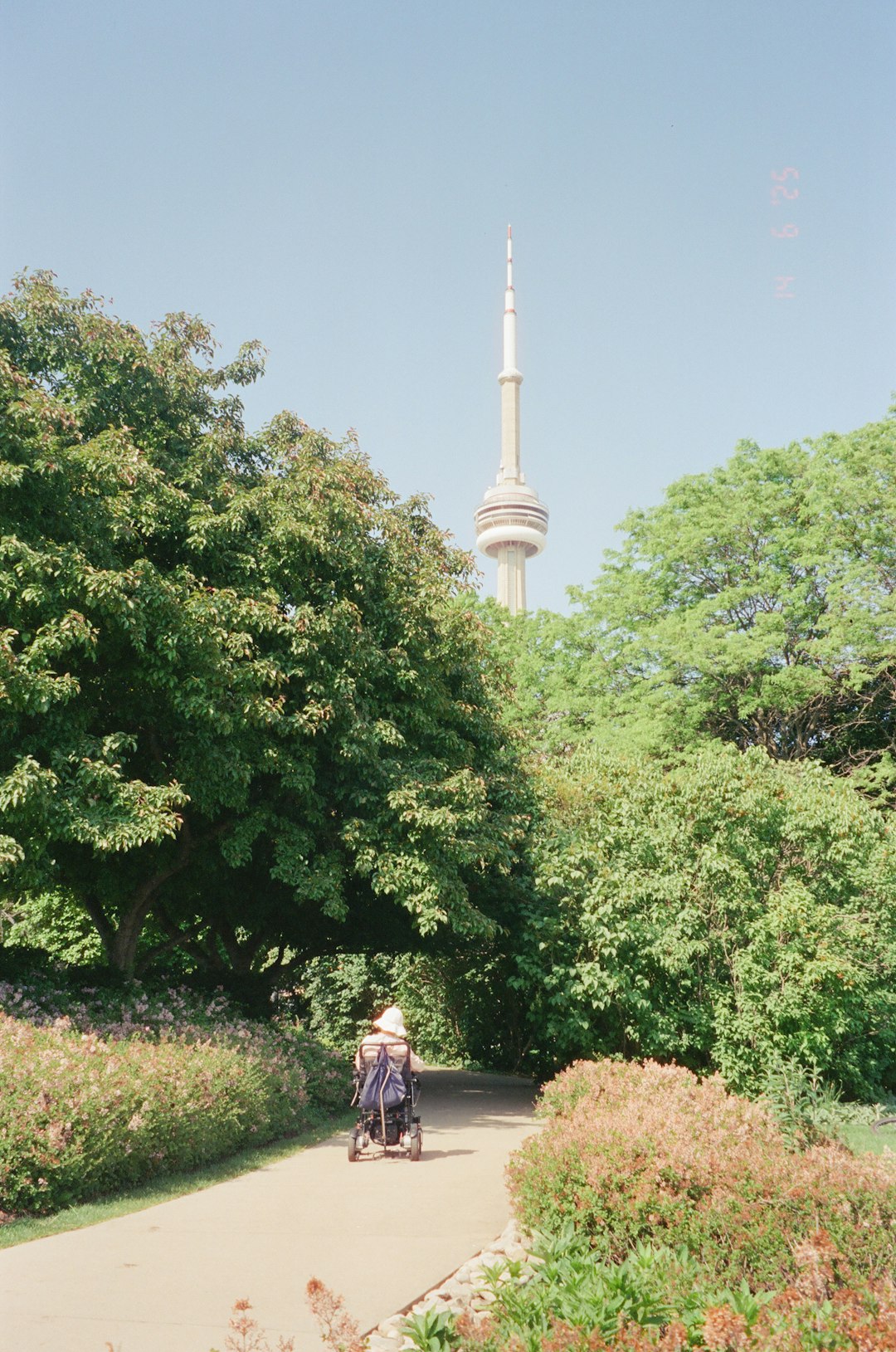 Infinite Scroll SEO: Pagination Alternative Implementation