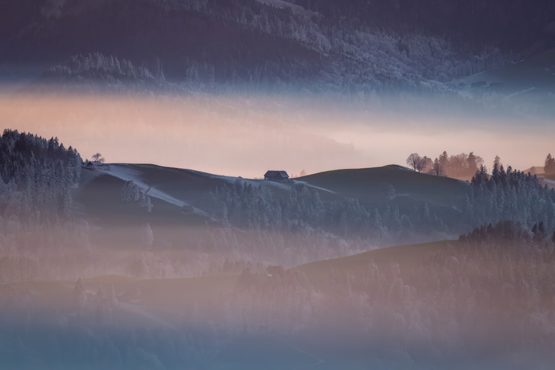 Singleton Pattern: Global State Management