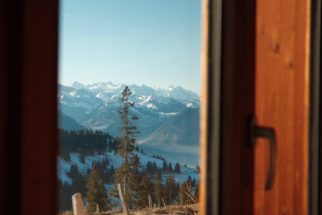 ERP Report Development: Business Intelligence Tools