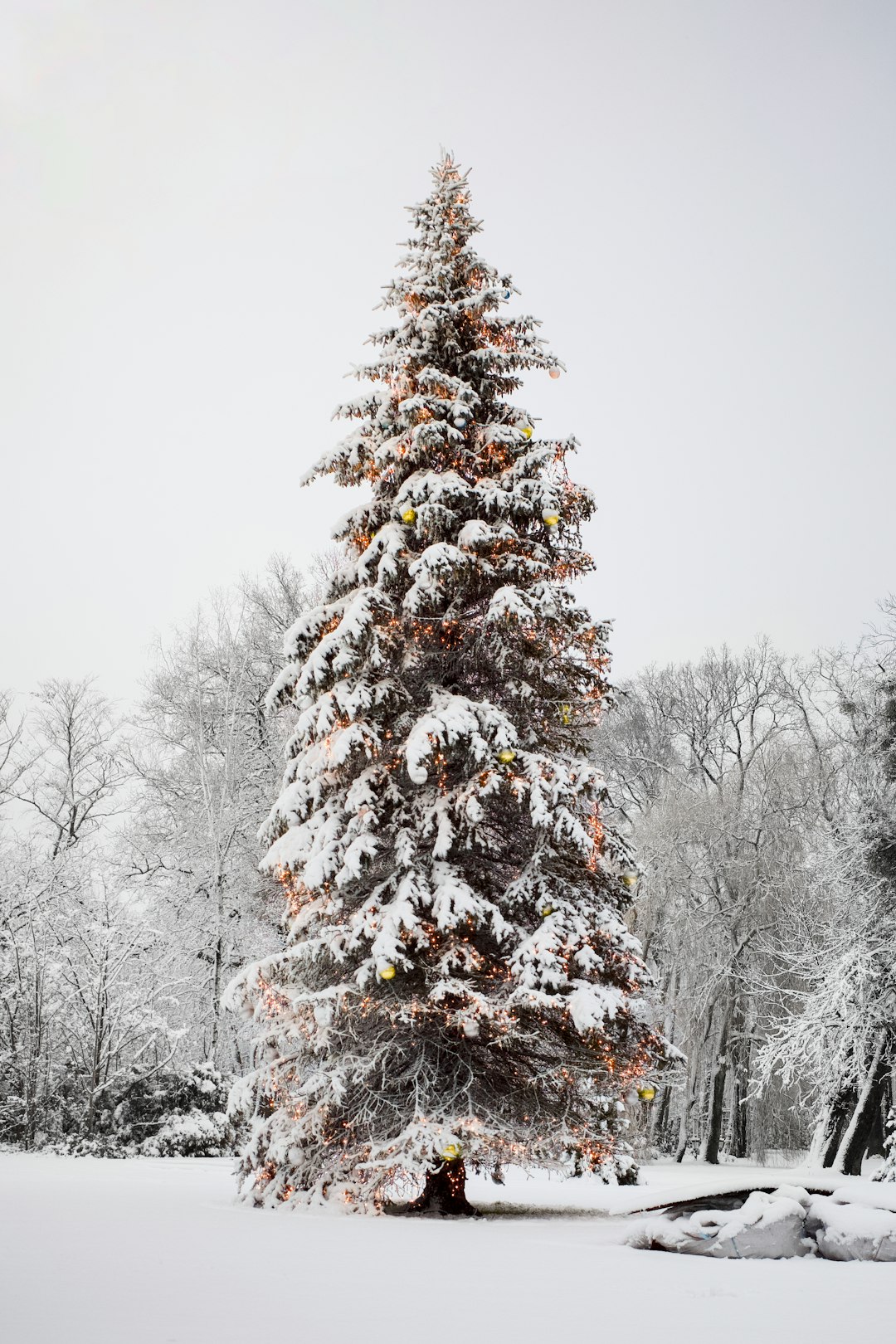 Test-Driven Development: Implementation Strategy