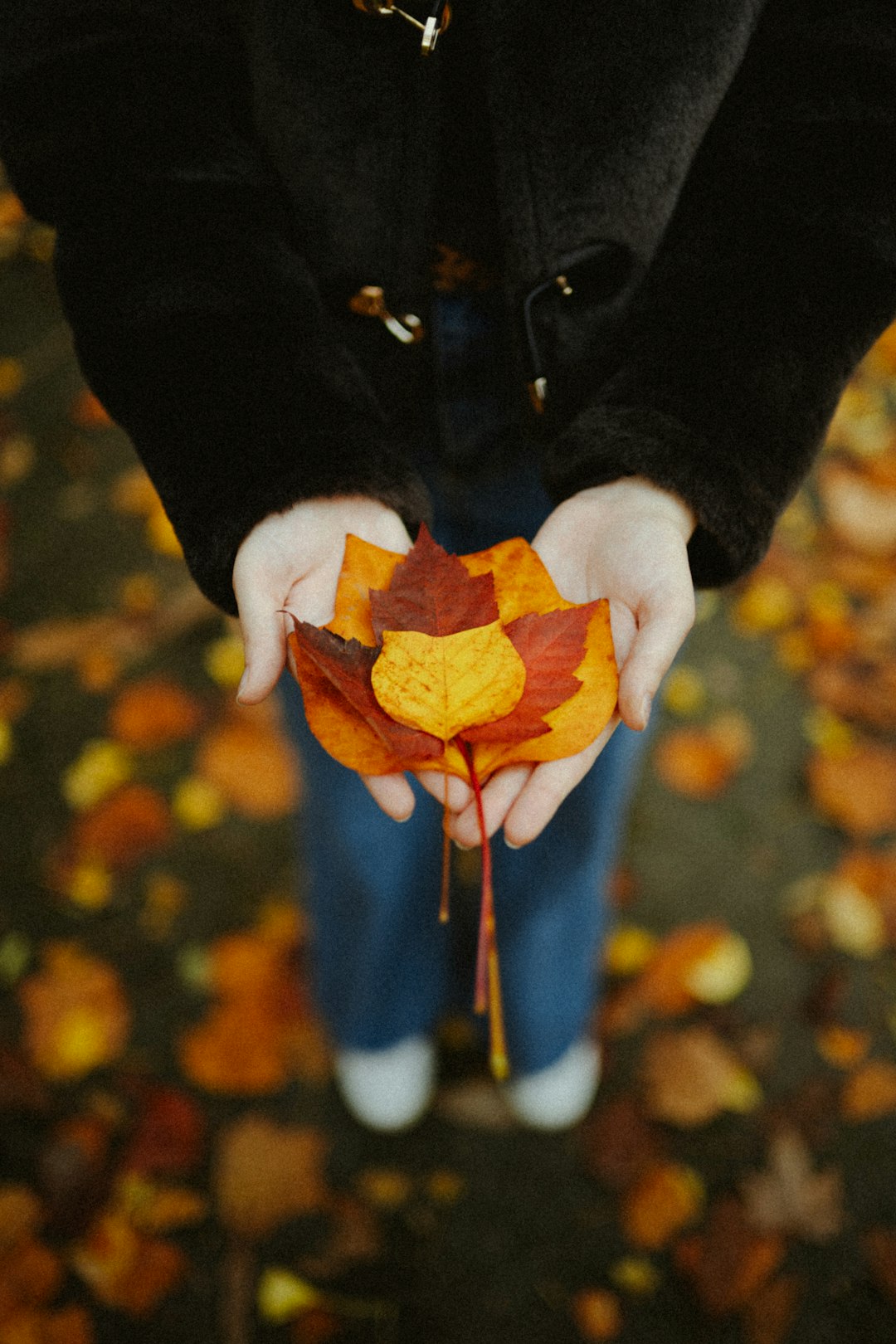 CRM Community Portal: Customer Collaboration Platform