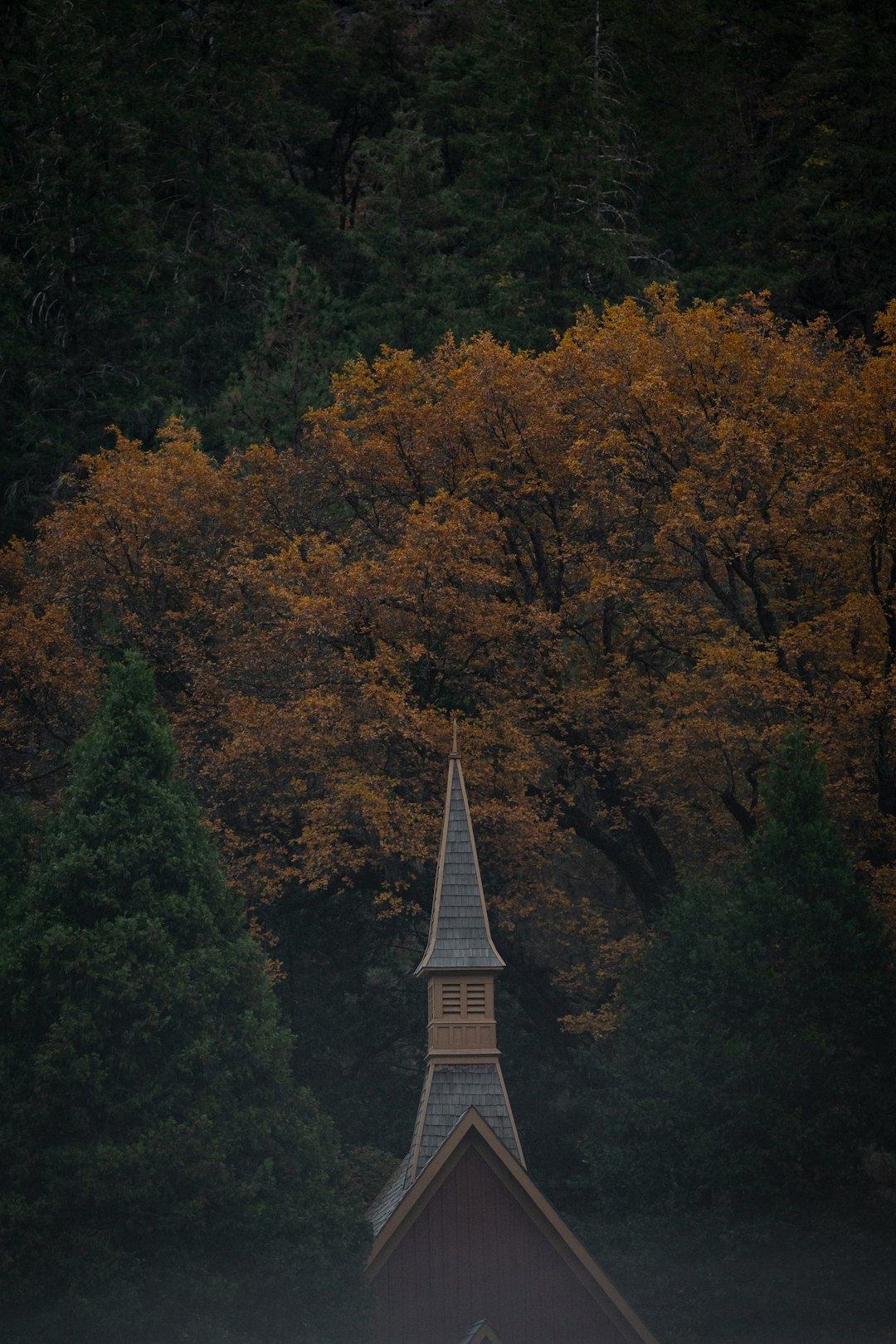 CRM Upsell Opportunity: Cross-Sell Identification