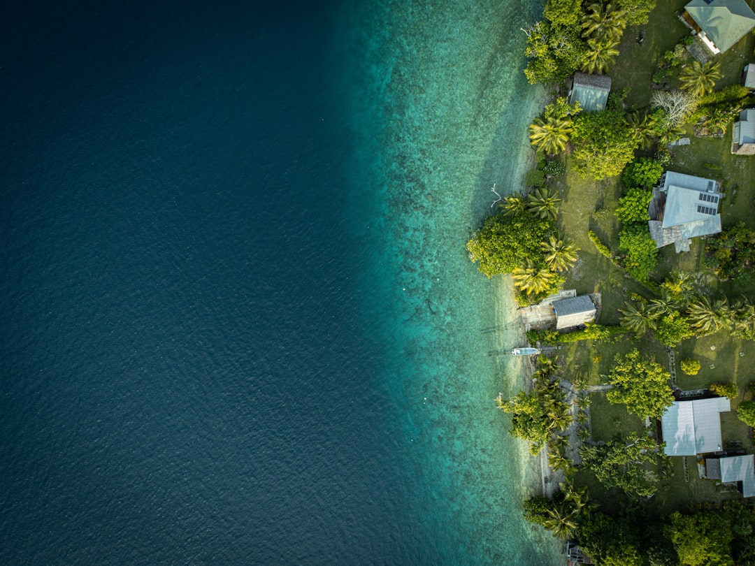 Onboarding Automation: New Hire Portal Development