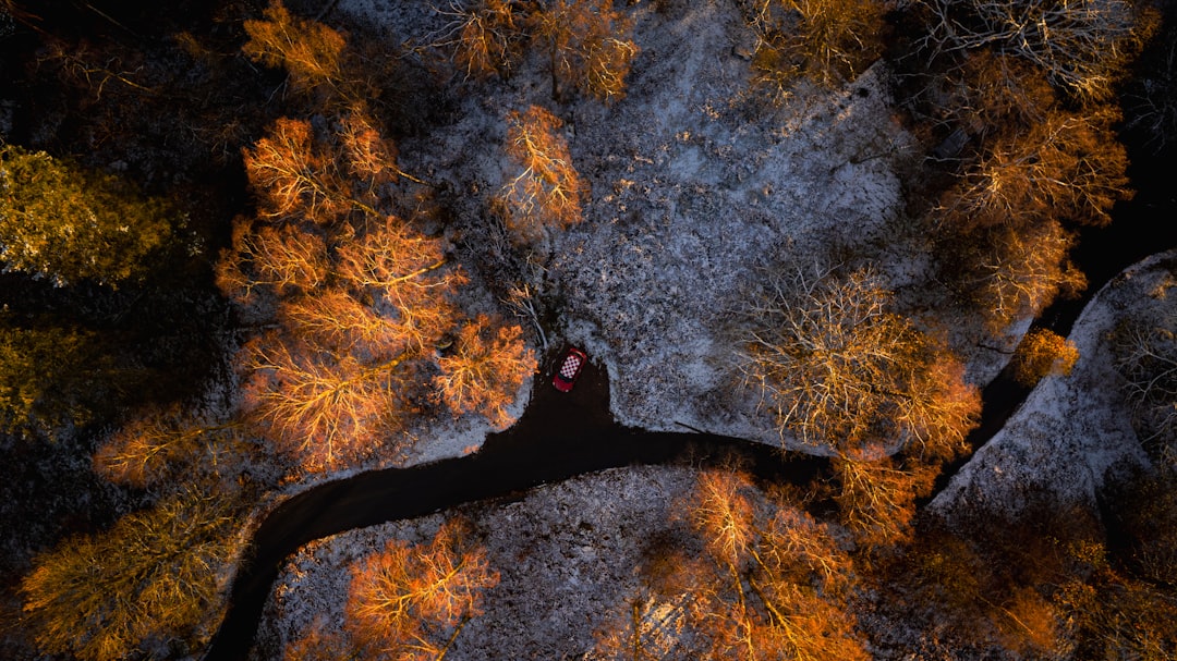 Career Pathing: Skills Gap Analysis Tools