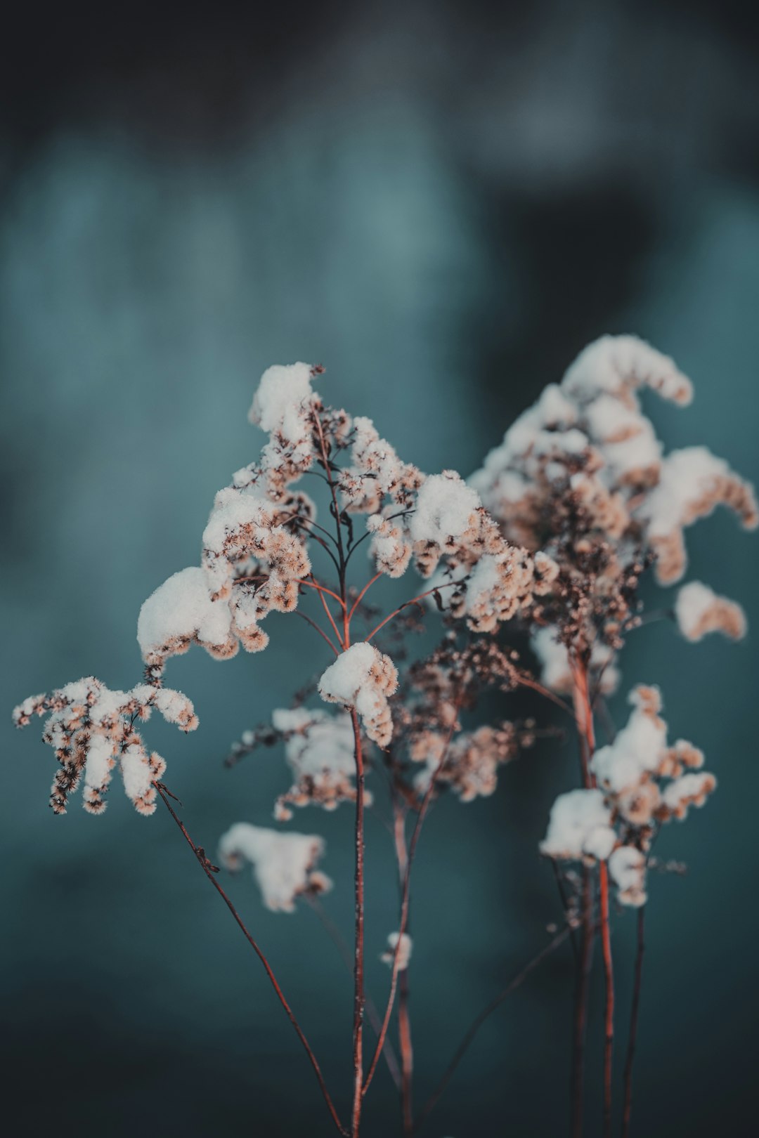 Document Management: Employee File Storage