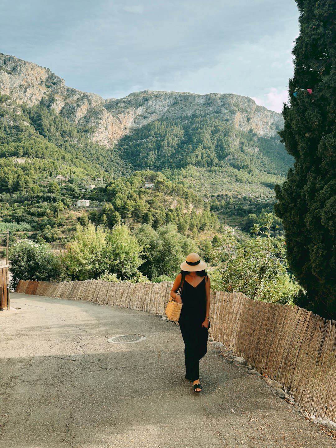 Brand Guidelines: Visual Identity Standards