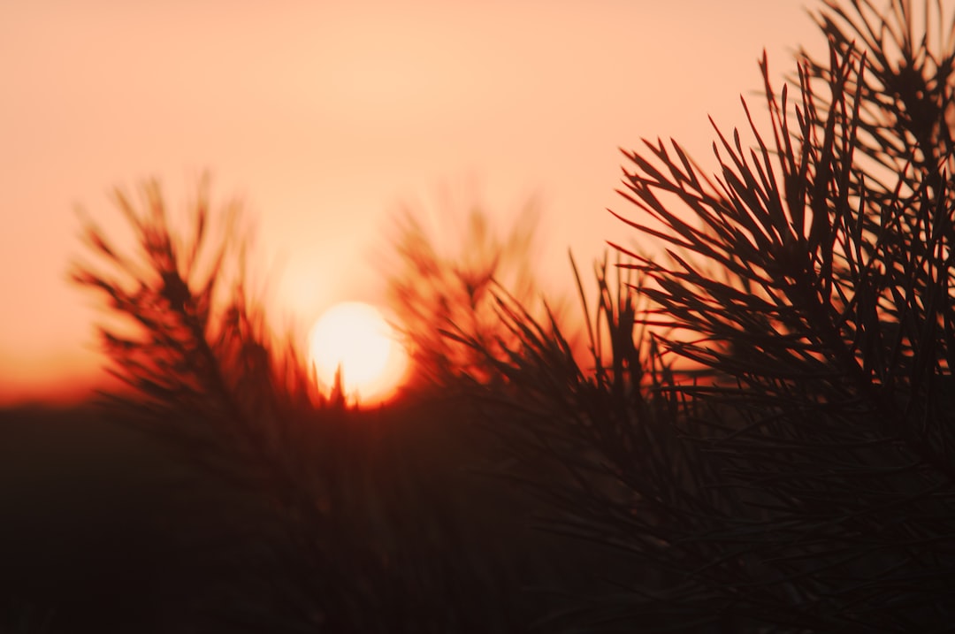 CRM Customer Segmentation: RFM Analysis Implementation