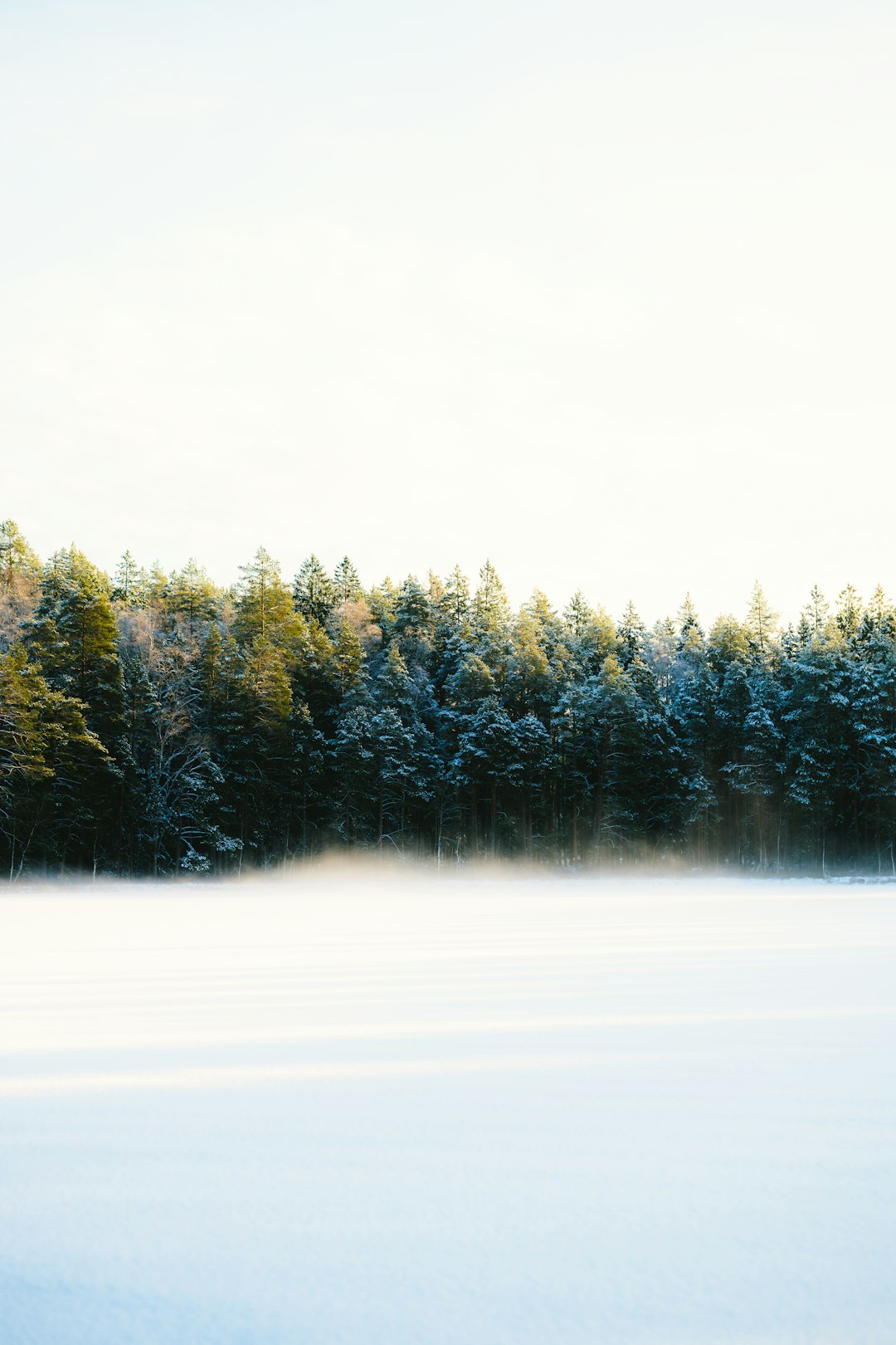 Angular Reactive Forms: Dynamic Form Generation