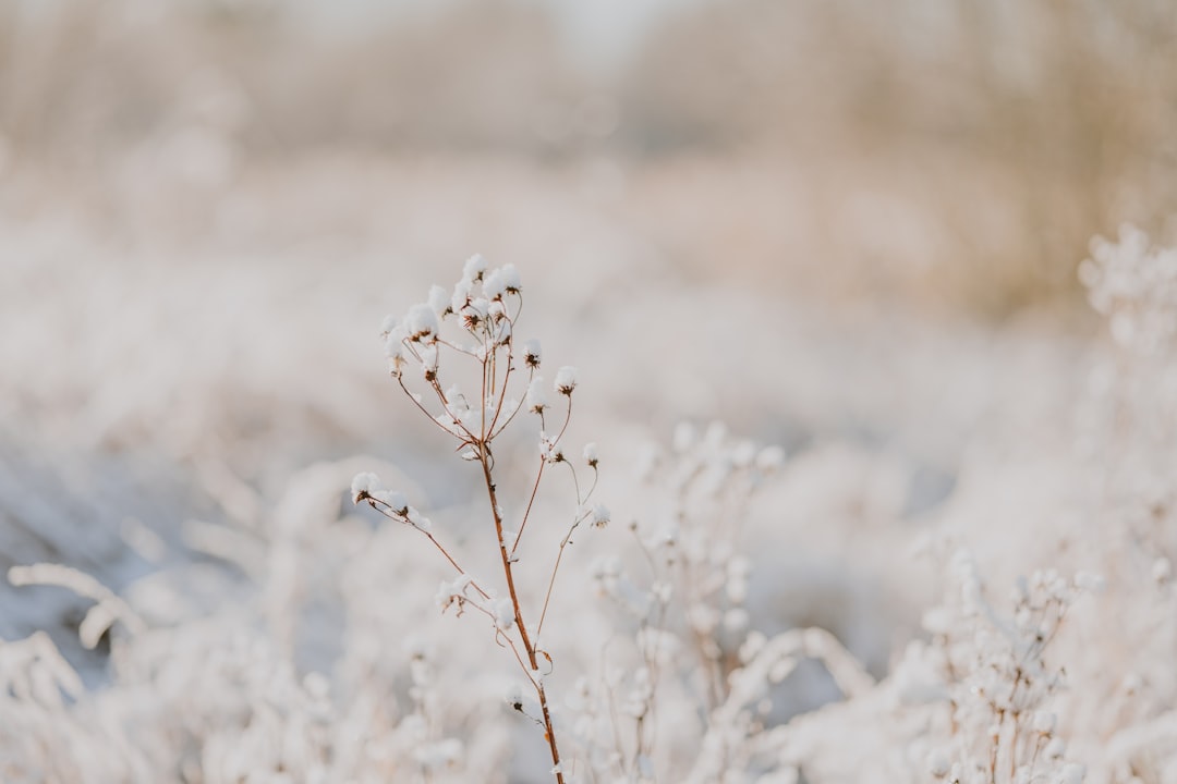 JavaScript Testing: Jest and React Testing Library