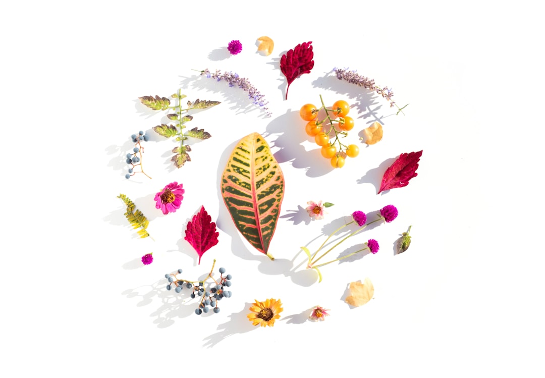 Virtual Reality Training: Immersive Learning Experiences